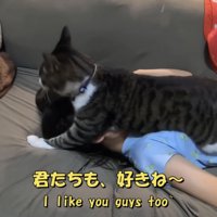 「君たちも、好きね～」のテロップ写真