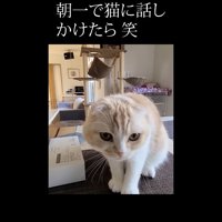 接近