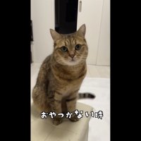 おやつがない時の写真