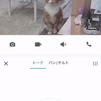 お座りしているカメラ目線の猫を写した見守りカメラ