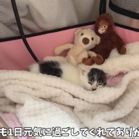 テロップ「今日も1日～」