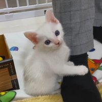 カメラ目線