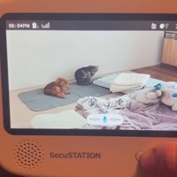 ベビーモニターに映る猫3
