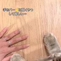 凪ちゃんの前で手を広げて待つ飼い主さん