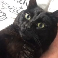 天くんのアップ