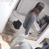 飼い主の肩のあたりをしゃがみ込んで見つめている猫