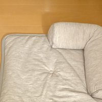 へそ天で眠る猫