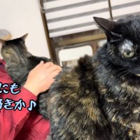 テロップ「そんなにも～」