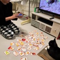 猫の前でカルタをしている子ども