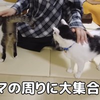お出迎えするふたり