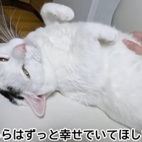 テロップ「これからはずっと～」