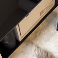 家具の下から見える猫