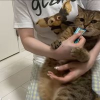 おやつを食べるみにらくん2