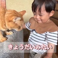 猫を見て笑顔の赤ちゃん
