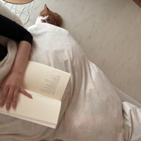 ベッドで本を読む飼い主を見つめる猫
