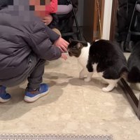 はじめましてのお兄ちゃん