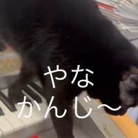 「やな感じ」と書かれた写真2