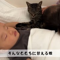 子供達と一緒に寝ている猫