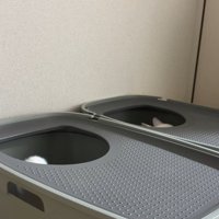 トイレの中に入る猫2匹