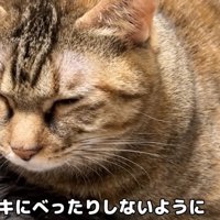 安心して眠るリタちゃん
