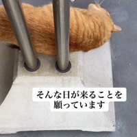 「そんな日が...」のテロップ写真