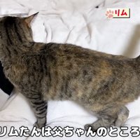 お父さんのもとでおしゃべり
