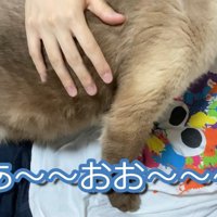 あ〜〜おお〜〜〜！！