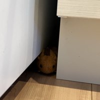 隙間に挟まっていたおもちゃ