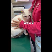 やだよぉ
