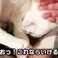 ソフトタッチを受け入れるおーちゃんさん