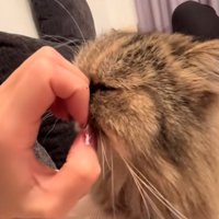 顔をずらして他の爪を見つめる