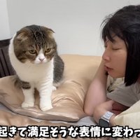 女性の枕元に座っている猫