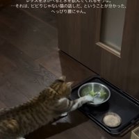 前足を伸ばす猫の後ろ姿