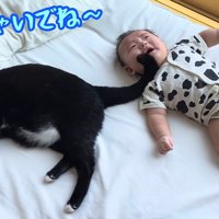 赤ちゃんをあやす猫
