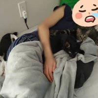 女性と子猫