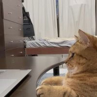 ちょこんと座るみにらくん