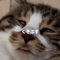 脱力した猫