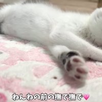 テロップ「ねんねの前の～」