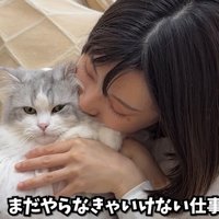 女性に抱っこされている猫