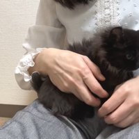 膝の上に乗るベニちゃん