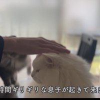 テロップ「毎朝ギリギリな～」