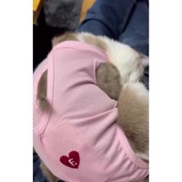 甘えている猫