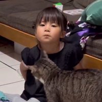 座っている女の子の近くへ歩いてくる猫