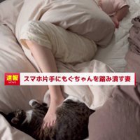 飼い主に踏まれている猫