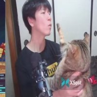 飼い主の閉じている口元に向かって真っ直ぐ右前足を伸ばす猫