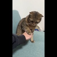 俯きながらタッチ