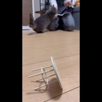 奥でおやつ