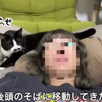 頭の方へ移動する