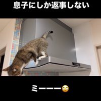 飛び降りる