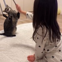 立ち上がる姿